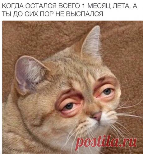 Диалоги