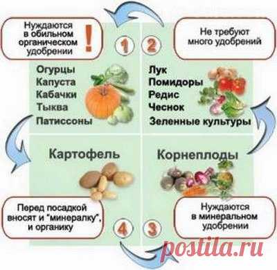 Севооборот