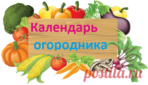 Календарь огородника Кубани 2023 Кубанского края, работы в огороде, огородный с таблицей
