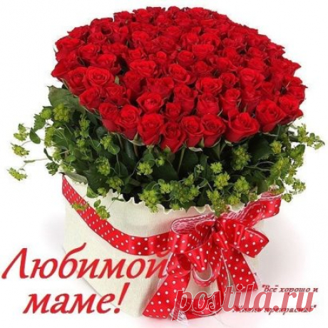 Знаешь, мама,... я всё смогу!
Только ты - всегда меня жди!
Пред тобою... я в вечном долгу,
Только ты не болей.... ЖИВИ!!!