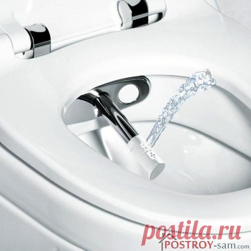 Унитаз с функцией биде: виды, подключение, особенности, цена