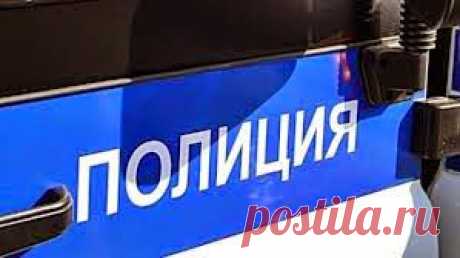 Полицейские в ходе задержания нарушителя применили оружие