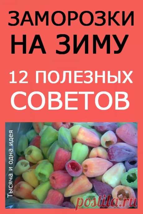 Заморозка на зиму: 12 полезных советов! | Тысяча и одна идея