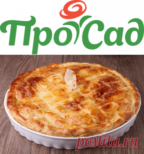 Рецепты вкусного курника - prosad.ru всё про сад и огород