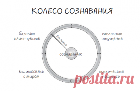 Обод колеса делится на четыре сегмента. Первый включает в себя чувства: слух, зрение, обоняние, вкус и осязание. Второй — внутренние сигналы тела, такие как ощущения в мышцах или легких. Третий — все, что касается психических процессов, связанных с чувствами, мыслями и воспоминаниями. А четвертый — отношения. Плавно вращая спицу, мы фокусируем внимание на каждом элементе сегмента, постепенно охватывая все объекты познавания.