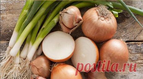 Луковица и немного соды — все, что вам понадобится, чтобы навсегда распрощаться с тараканами!