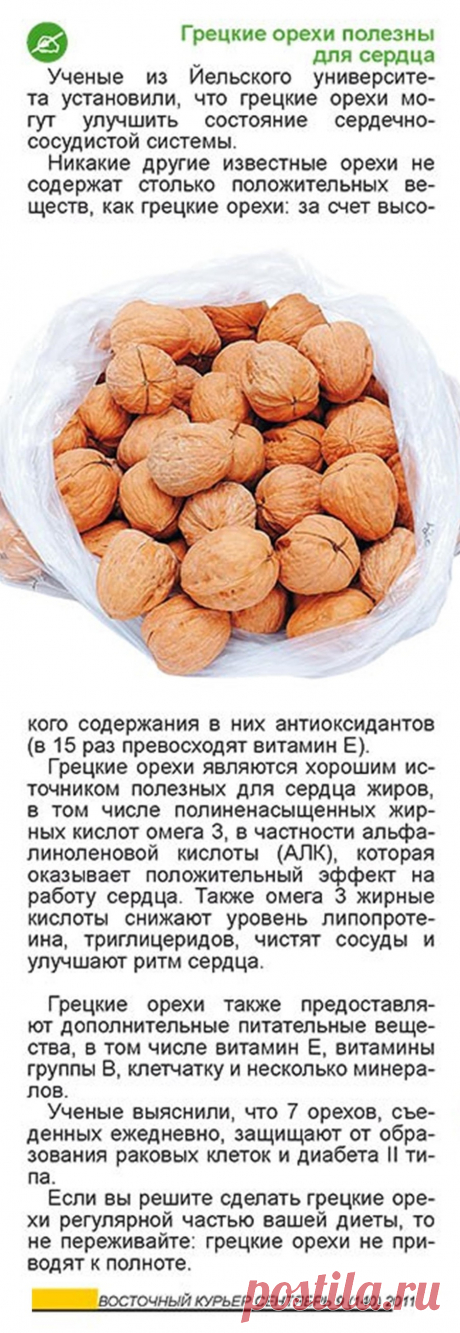 О пользе грецких орехов