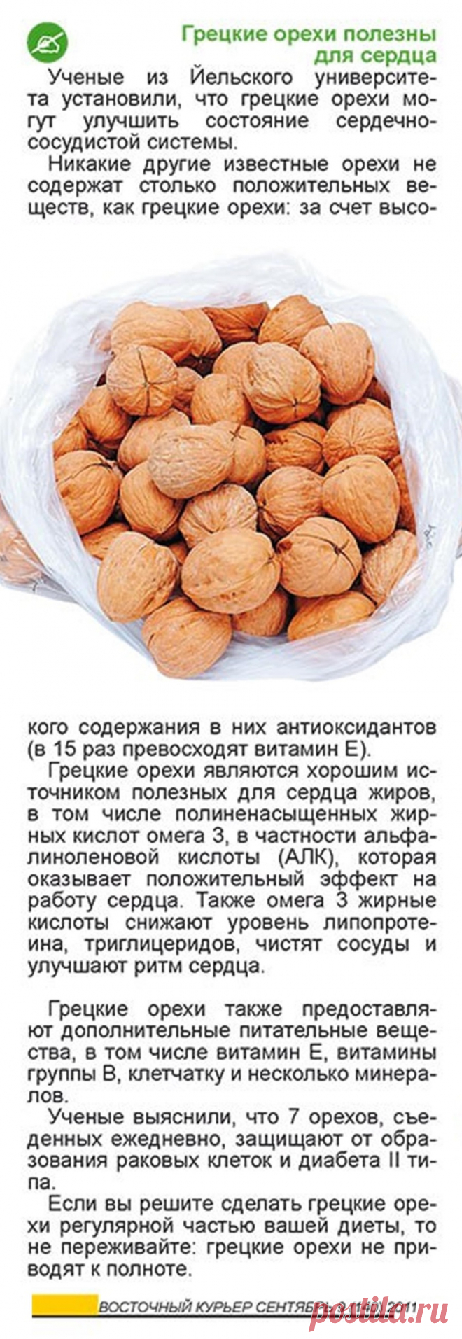 О пользе грецких орехов