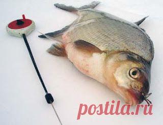 Рыбалка видео: Зимняя ловля леща