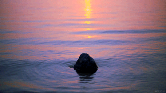 (3) Tumblr