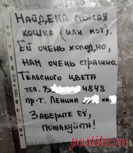 15 объявлений 2015 года, которые невозможно забыть