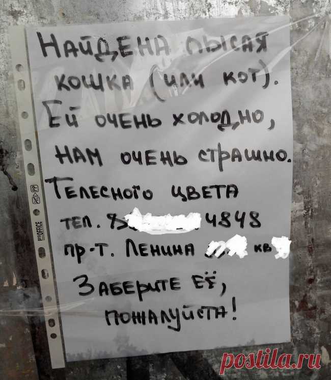 15 объявлений 2015 года, которые невозможно забыть