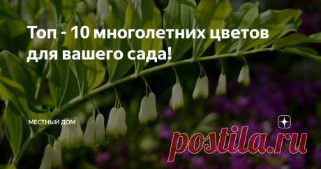 Топ - 10 многолетних цветов для вашего сада! 1. Купена – цветочки были, теперь ягодки! Отличная альтернатива популярной Дицентре или, как ее зовут в простонародье, − «разбитому сердцу». Цветение купены в начале (май−июнь) напоминает плоды арахиса из-за повислых бутонов и ландыш благодаря цвету и форме стебля. Бутоны впоследствии созревают в темные ягоды. Появляются они в июле – августе, это семена. Сажать их тоже лучше в конце лета. И помните, что купены – существа нежные,...