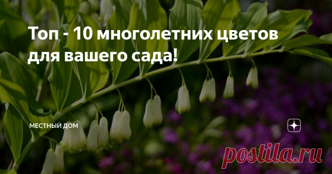 Топ - 10 многолетних цветов для вашего сада! 1. Купена – цветочки были, теперь ягодки! Отличная альтернатива популярной Дицентре или, как ее зовут в простонародье, − «разбитому сердцу». Цветение купены в начале (май−июнь) напоминает плоды арахиса из-за повислых бутонов и ландыш благодаря цвету и форме стебля. Бутоны впоследствии созревают в темные ягоды. Появляются они в июле – августе, это семена. Сажать их тоже лучше в конце лета. И помните, что купены – существа нежные,...