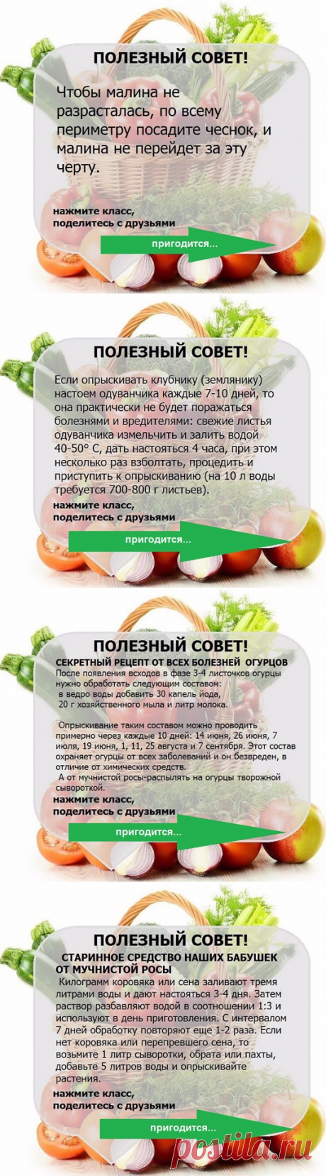 УЗЕЛОК НА ПАМЯТЬ. Огородникам