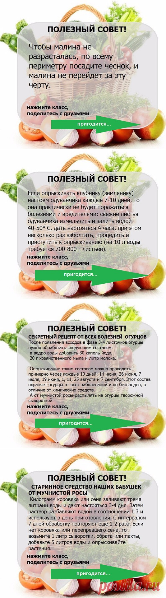 УЗЕЛОК НА ПАМЯТЬ. Огородникам