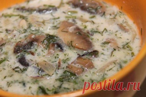 Грибной суп со сливками «Бархатный» | Вкус жизни