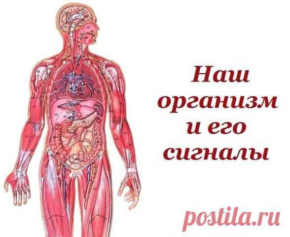 * * * * * * * * * * * *