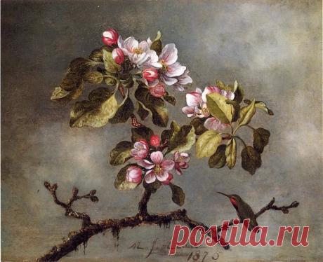 рисунки цветущих яблонь — Яндекс: нашлось 3 млн результатов