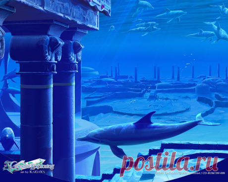 «KAGAYA Dolphins Wallpapers - HD Wallpapers 13622» — карточка пользователя Костя Ф. в Яндекс.Коллекциях