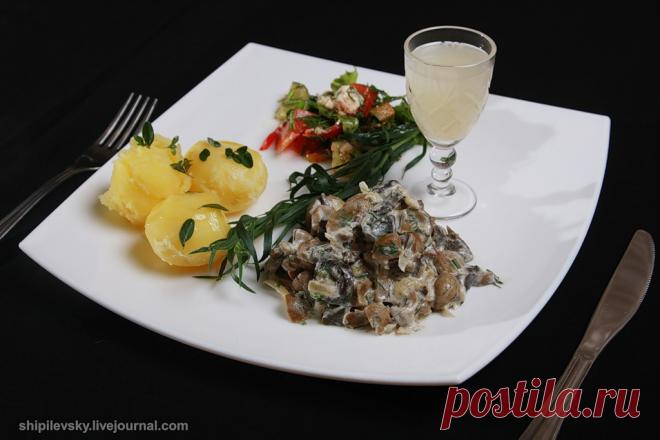 ГОТОВИМ ПОЧКИ, ЕДИМ ИЛИ ГЛЯДИМ?