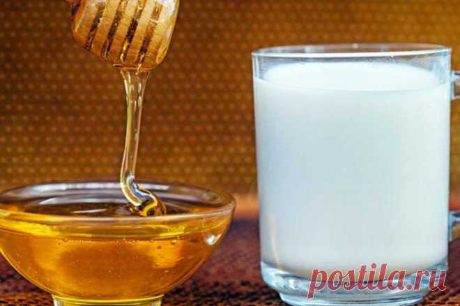 Молоко с мёдом - сладкий союз: полезные свойства.