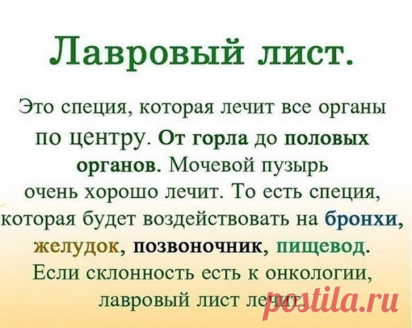 ЛАВРОВЫЙ ЛИСТ В ПОМОЩЬ | OK.RU