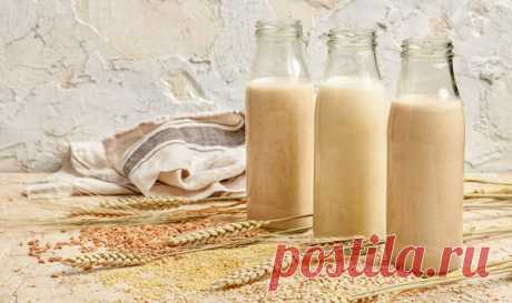 #Непереносимость_лактозы. Как с этим жить? И что пить?  -  #Растительное_молоко