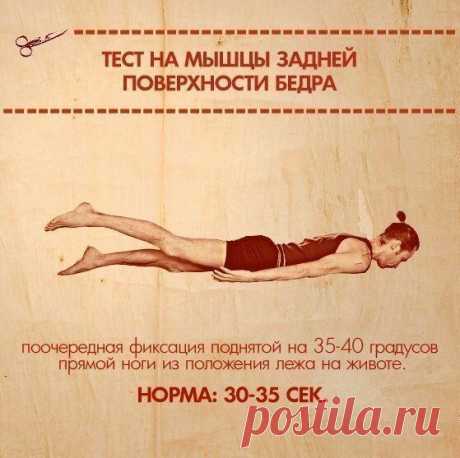 10 упражнений, которые покажут ваши слабые места | Хитрости Жизни