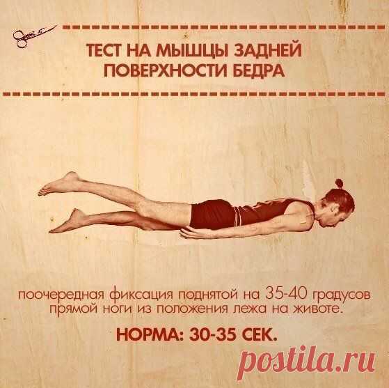 10 упражнений, которые покажут ваши слабые места | Хитрости Жизни