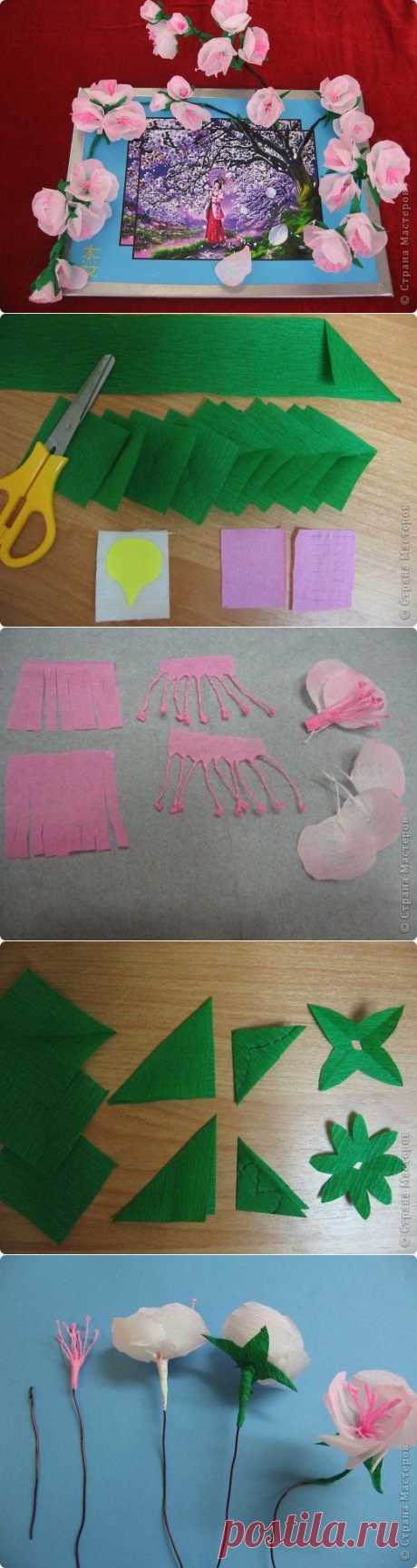 Hoa anh đào bằng giấy nhún ~ Craft , handmade blog