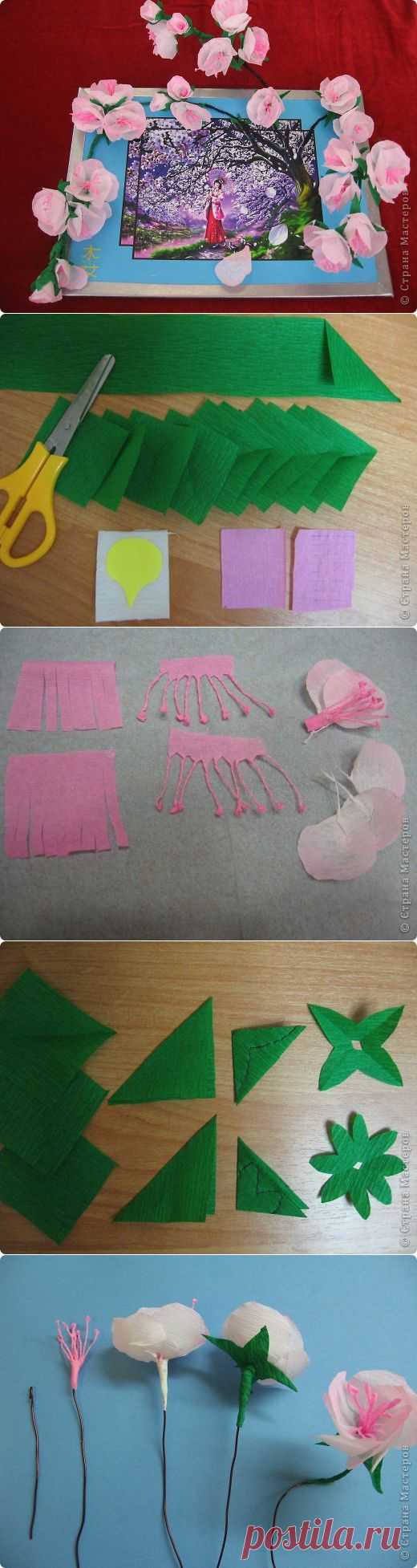 Hoa anh đào bằng giấy nhún ~ Craft , handmade blog