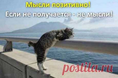 Прикольные высказывания в картинках