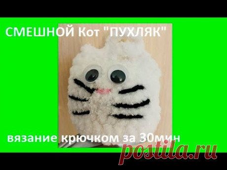 СМЕШНОЙ Кот "ПУХЛЯК" за 30мин  , вязание КРЮЧКОМ ,  crochet cat ( узор № 420)