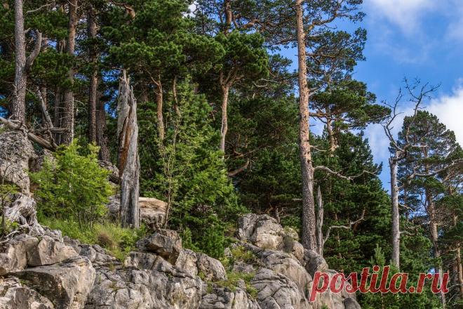 Лаго - Наки :: Игорь Сикорский – Социальная сеть ФотоКто Фотография №8190944 в рубрике «Природа». Автор: Игорь Сикорский