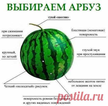 #сад