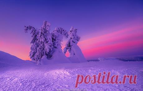 Зимние пейзажи.Фотограф Jorn Allan Pedersen(Норвегия)