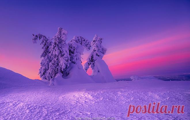 Зимние пейзажи.Фотограф Jorn Allan Pedersen(Норвегия)