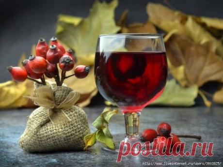 Шипов бояться – наливки не пить! Готовим вкуснейшую шиповниковую наливку