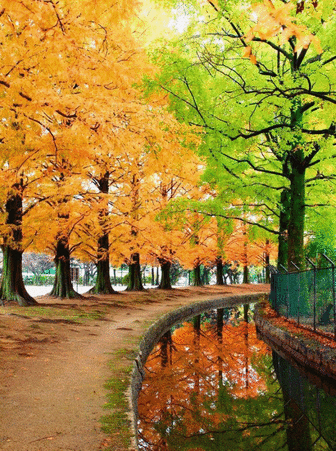 Belle nature