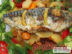 Рецепт: Скумбрия с лимоном на подушке - Рецепты - Кулинарные рецепты, диеты, меню, рецепты блюд. Smak.ua: Ты - кулинар!