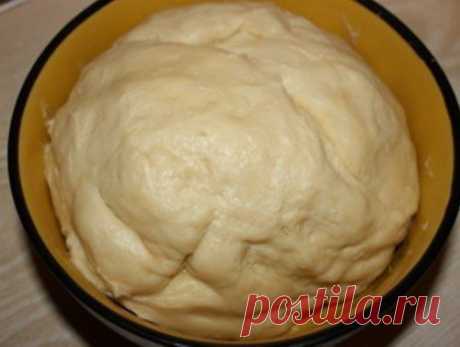 Такое тесто можно использовать в сладкие и несладкие пироги, пирожки и пиццы.

Ингредиенты:

-1 стак. молока,
-1 ст.л. сахара,
-1 ч.л. с небольшой горкой быстрых дрожжей (7-10 гр.),
-3 и 1/4 стак. муки,
-200 гр. слив. масла,
-щепотка соли.

Рецепт приготовления:

В стакане тёплого молока разводим сахар и дрожжи.
Оставляем бродить минут на 15, пусть покроется шапочкой.
За это время муку просеиваем в миску, добавляем щепотку соли.
Масло комнатной температуры добавляем к муке и