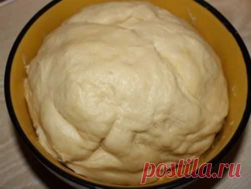 Такое тесто можно использовать в сладкие и несладкие пироги, пирожки и пиццы.

Ингредиенты:

-1 стак. молока,
-1 ст.л. сахара,
-1 ч.л. с небольшой горкой быстрых дрожжей (7-10 гр.),
-3 и 1/4 стак. муки,
-200 гр. слив. масла,
-щепотка соли.

Рецепт приготовления:

В стакане тёплого молока разводим сахар и дрожжи.
Оставляем бродить минут на 15, пусть покроется шапочкой.
За это время муку просеиваем в миску, добавляем щепотку соли.
Масло комнатной температуры добавляем к муке и