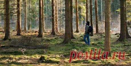 23 неизвестных факта о нашем мире, которые заставят вас задуматься