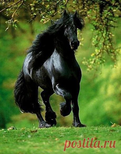 Одноклассники