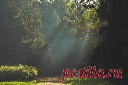 Вяземским школьникам прочитали лекцию про деревья и раскрыли эко-лайфхаки. В рамках программы «Родные города» семиклассникам из Вяземского района Смоленской области раскрыли эко-лайфхаки. Так, волонтеры проекта компании «НОВА-Брит» провели для школьников выездную лекцию в лесопарке «Русятка». Подростков научили определять возраст деревьев, а также рассказали, как найти дерево-медонос.