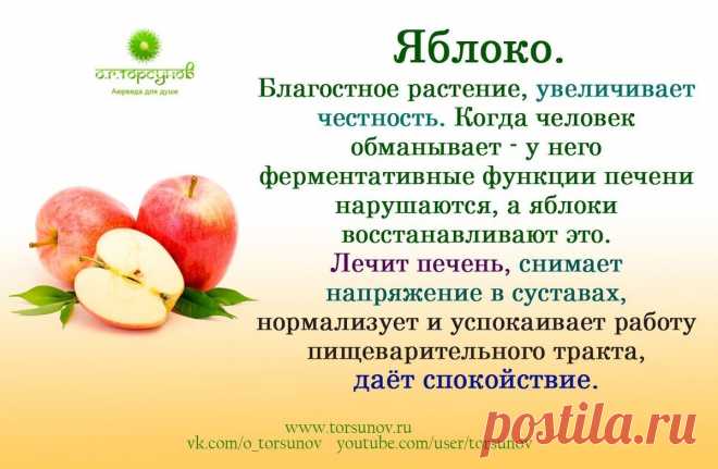 Яблоко