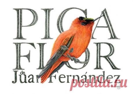 INICIO | Fran Méndez