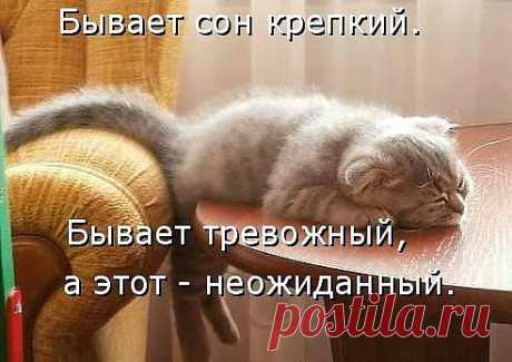 Мой Мир@Mail.Ru