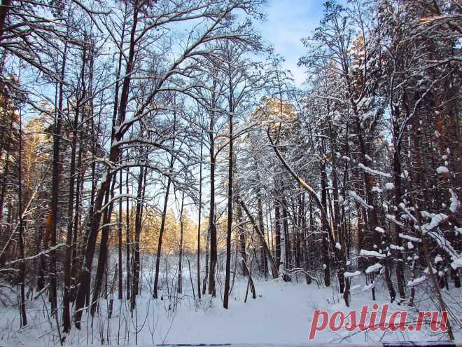 Раифский Богородицкий монастырь. - 167 фото. Фотографии Светлана **.